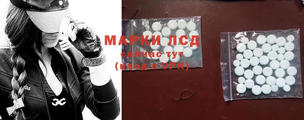 мяу мяу мука Абаза