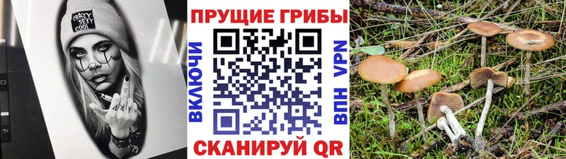 Галлюциногенные грибы GOLDEN TEACHER  ОМГ ОМГ ССЫЛКА  Собинка 